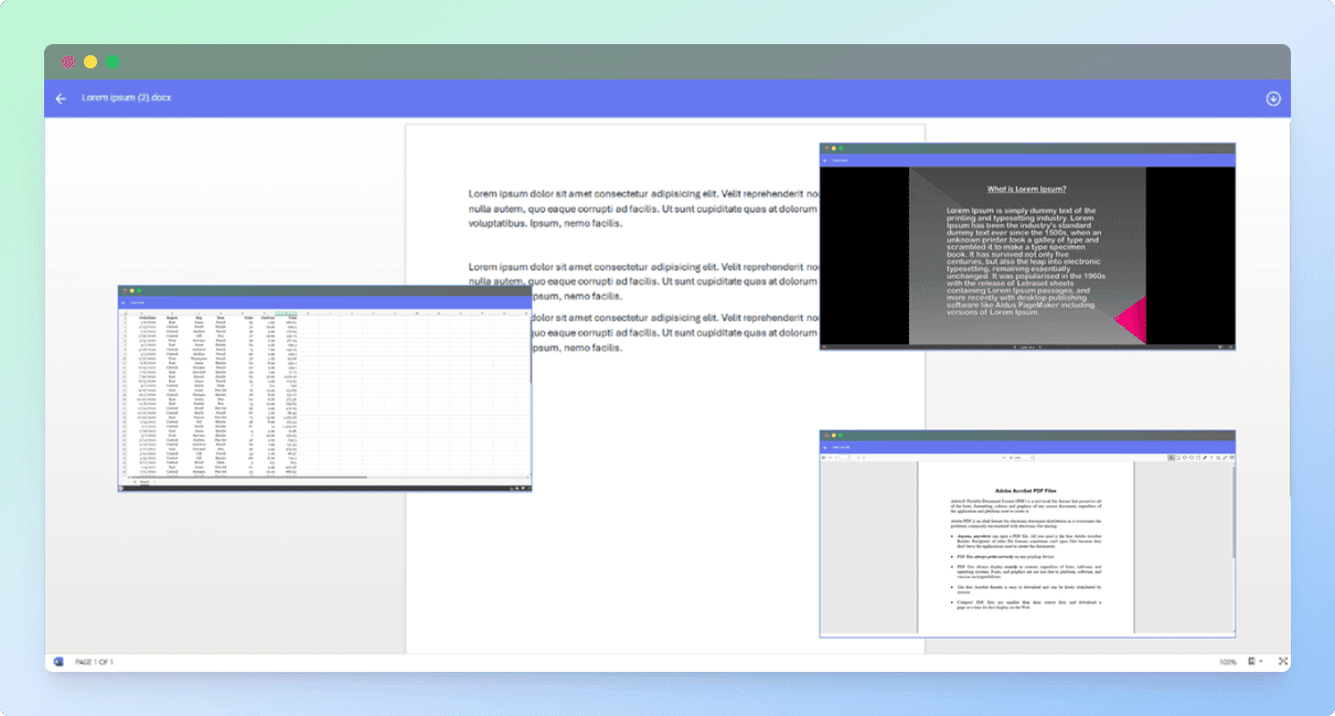 File Preview